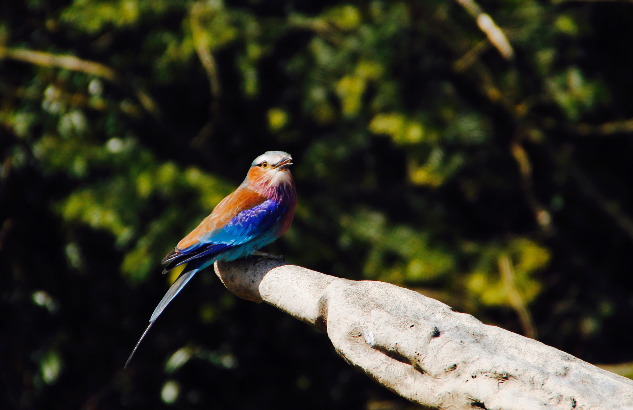 Canon 18-250mm sample photo