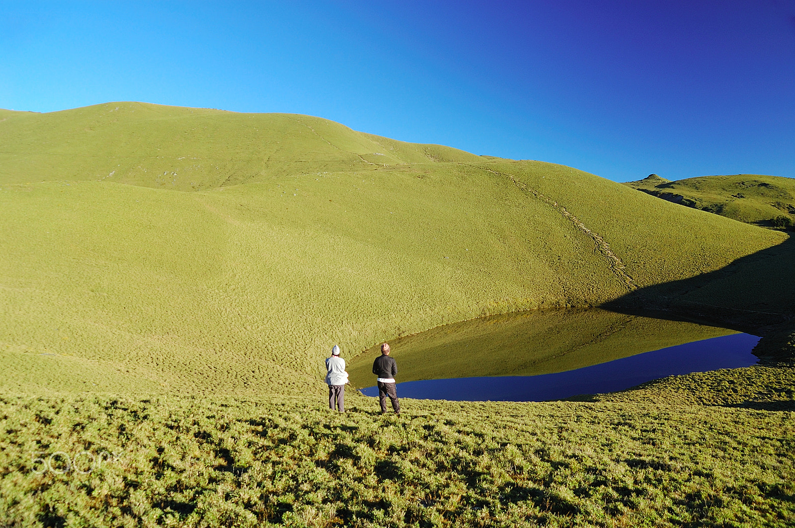 Nikon D40 sample photo. Blue sky, green mountain, peaceful lake photography