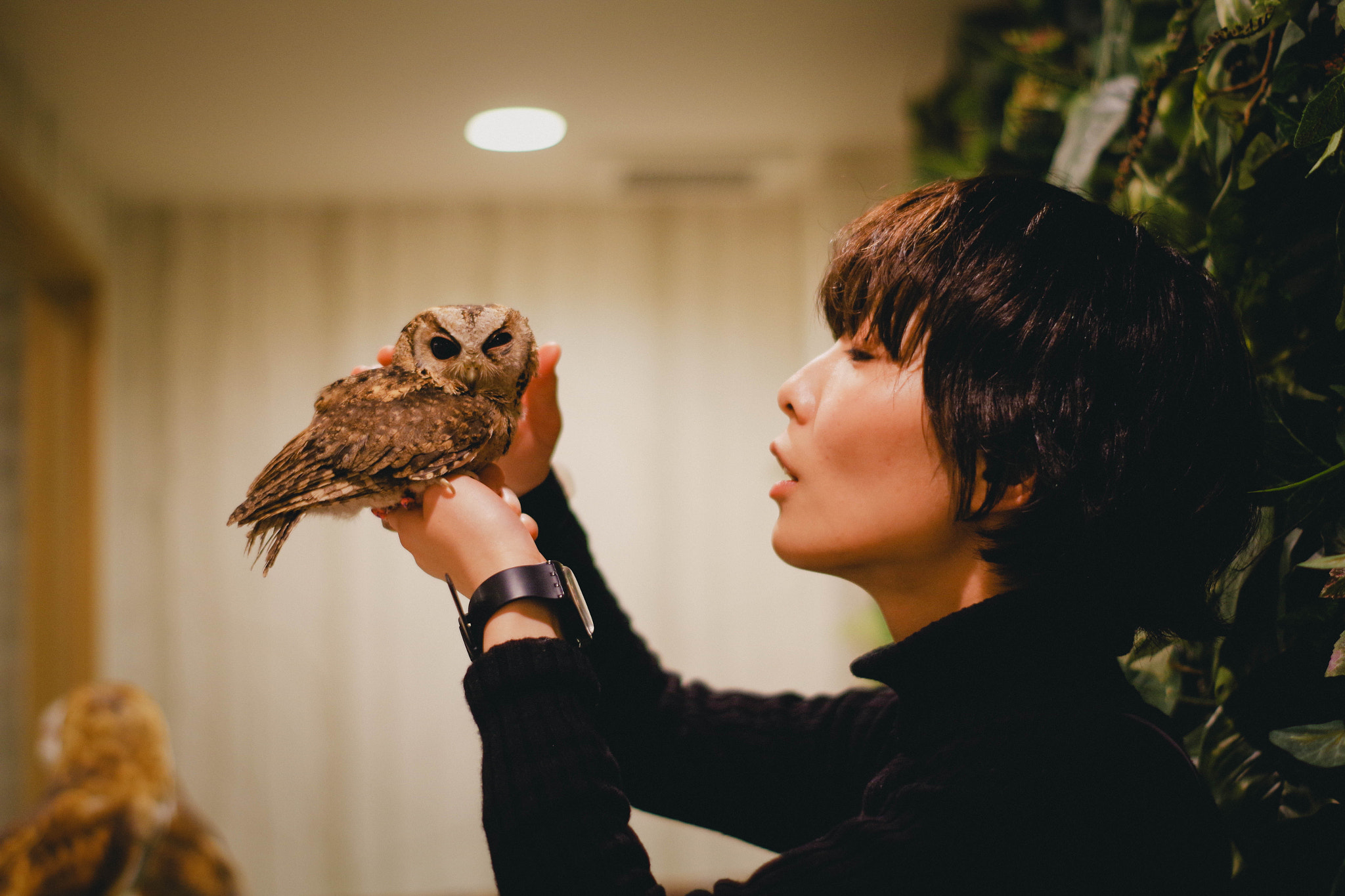 Pentax K-S1 + Pentax smc DA 50mm F1.8 sample photo. Owl. photography