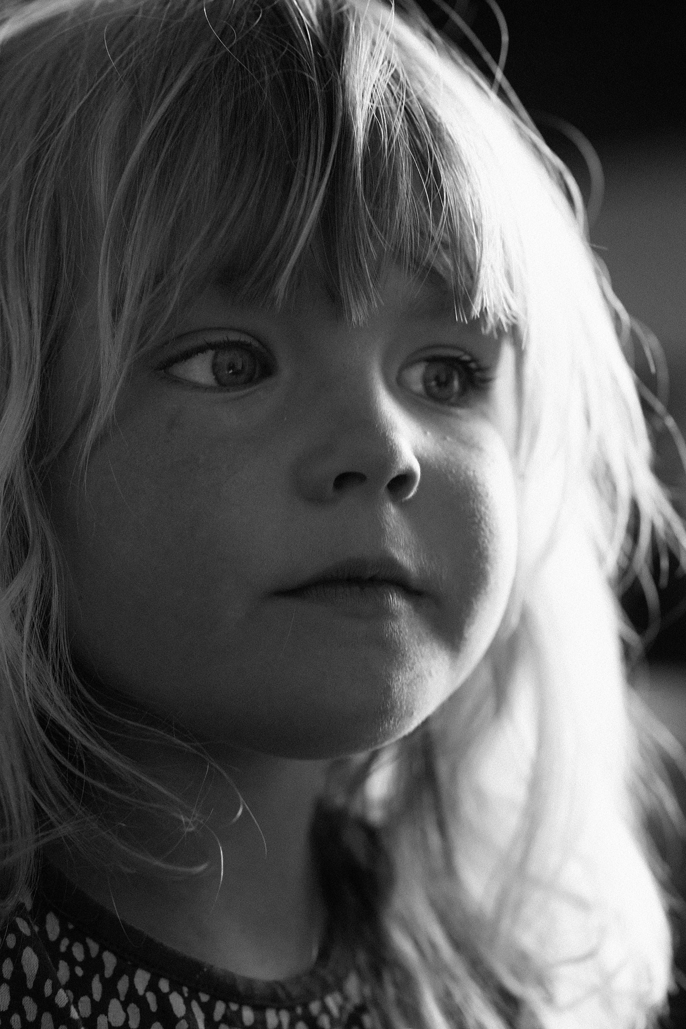 ZEISS Makro-Planar T* 100mm F2 sample photo. Evelyn photography