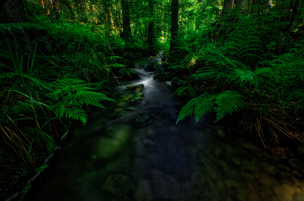 green hell again by dirk derbaum on 500px.com