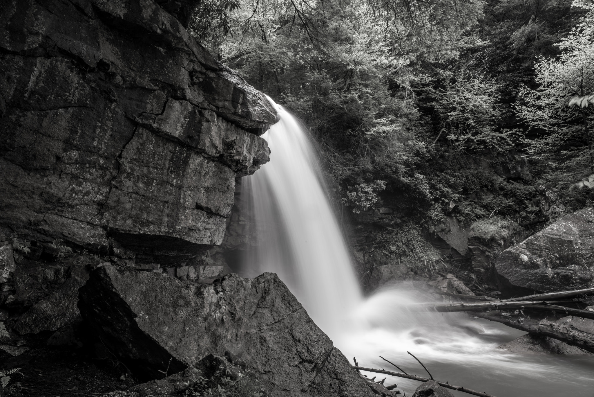 Nikon D810 + Nikon AF Nikkor 24mm F2.8D sample photo. Douglas falls on north fork blackwater river photography