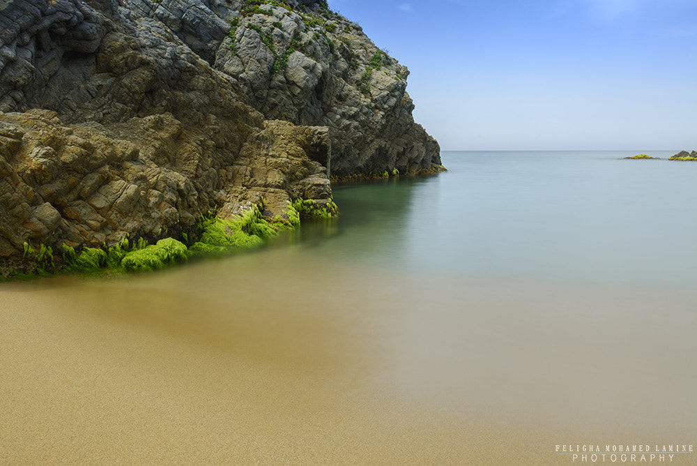 Sigma 18-50mm F2.8-4.5 DC OS HSM sample photo. Tamanart photography