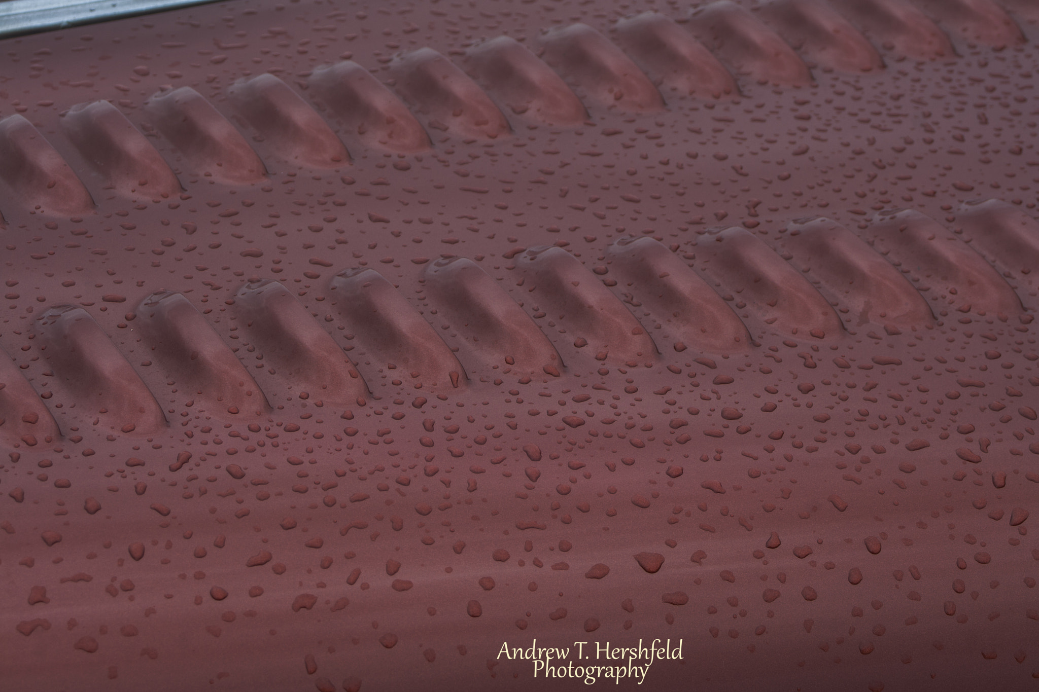 Canon EF 28-80mm f/3.5-5.6 sample photo. Louvered hood photography