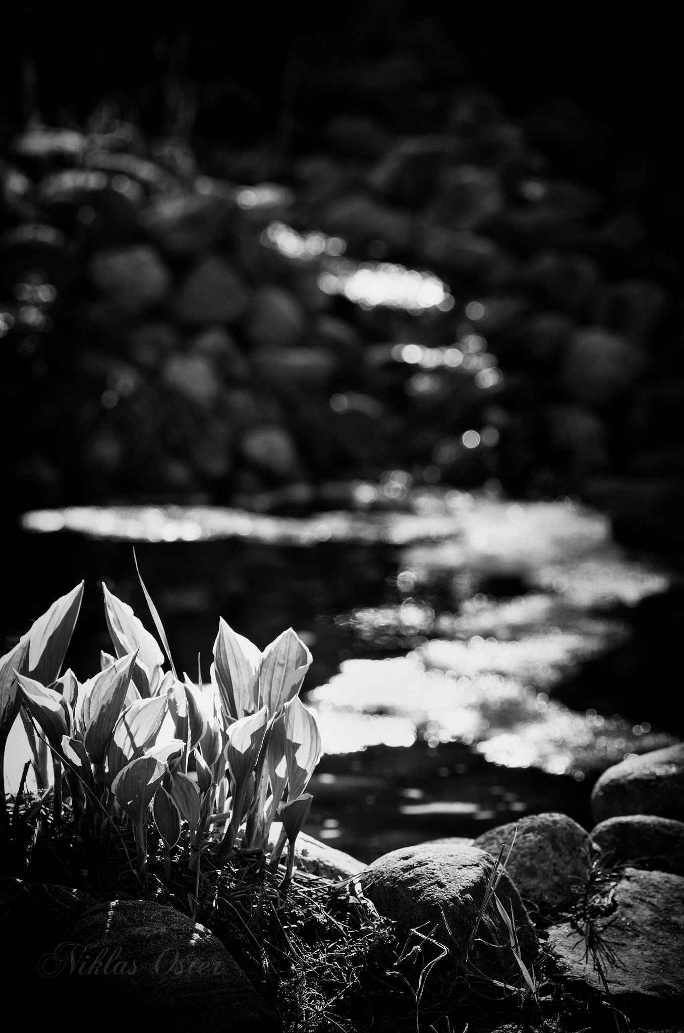 Pentax K-50 + Tamron SP AF 90mm F2.8 Di Macro sample photo. Flowing water... photography