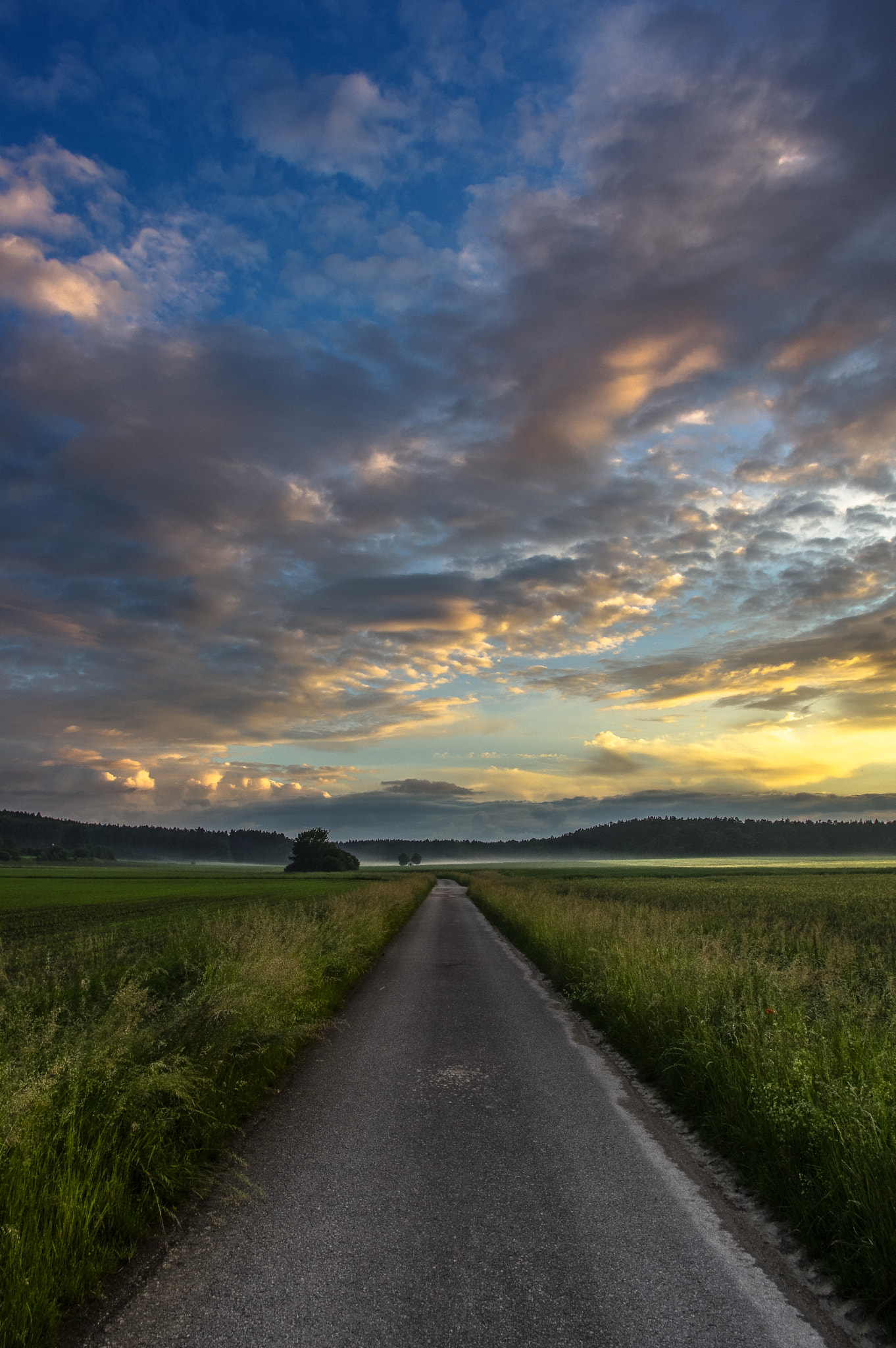 Pentax smc DA 15mm F4 ED AL Limited sample photo. Straight ahead photography