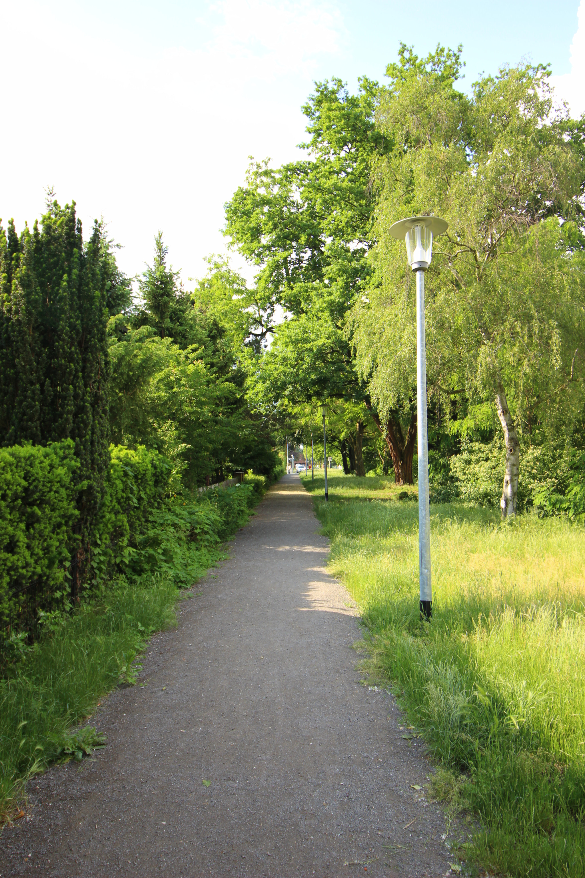 Canon EF-S 10-18mm F4.5–5.6 IS STM sample photo. Path on my way home photography