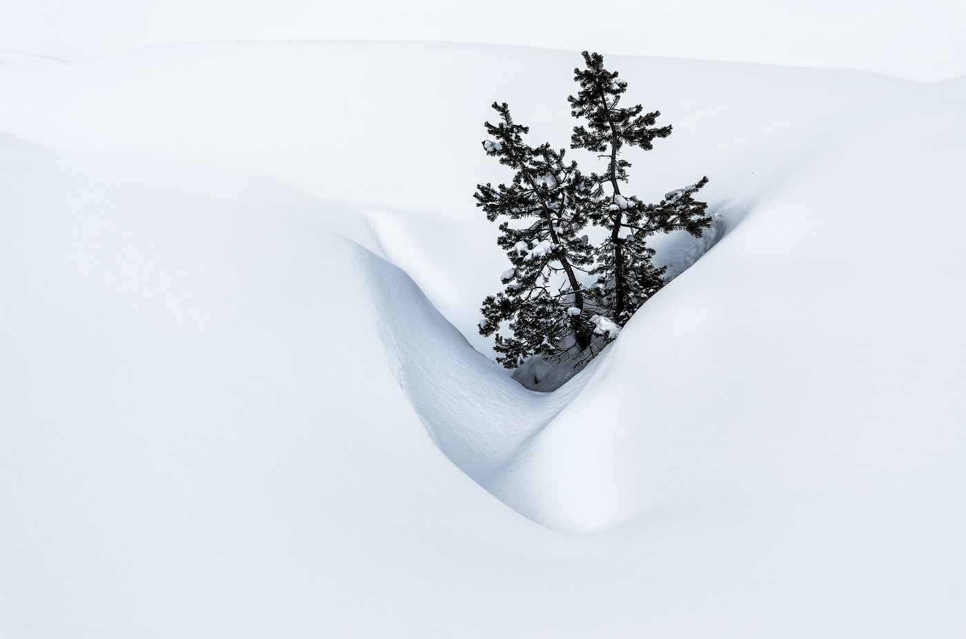 Pentax K-5 sample photo. Lost in the snow photography