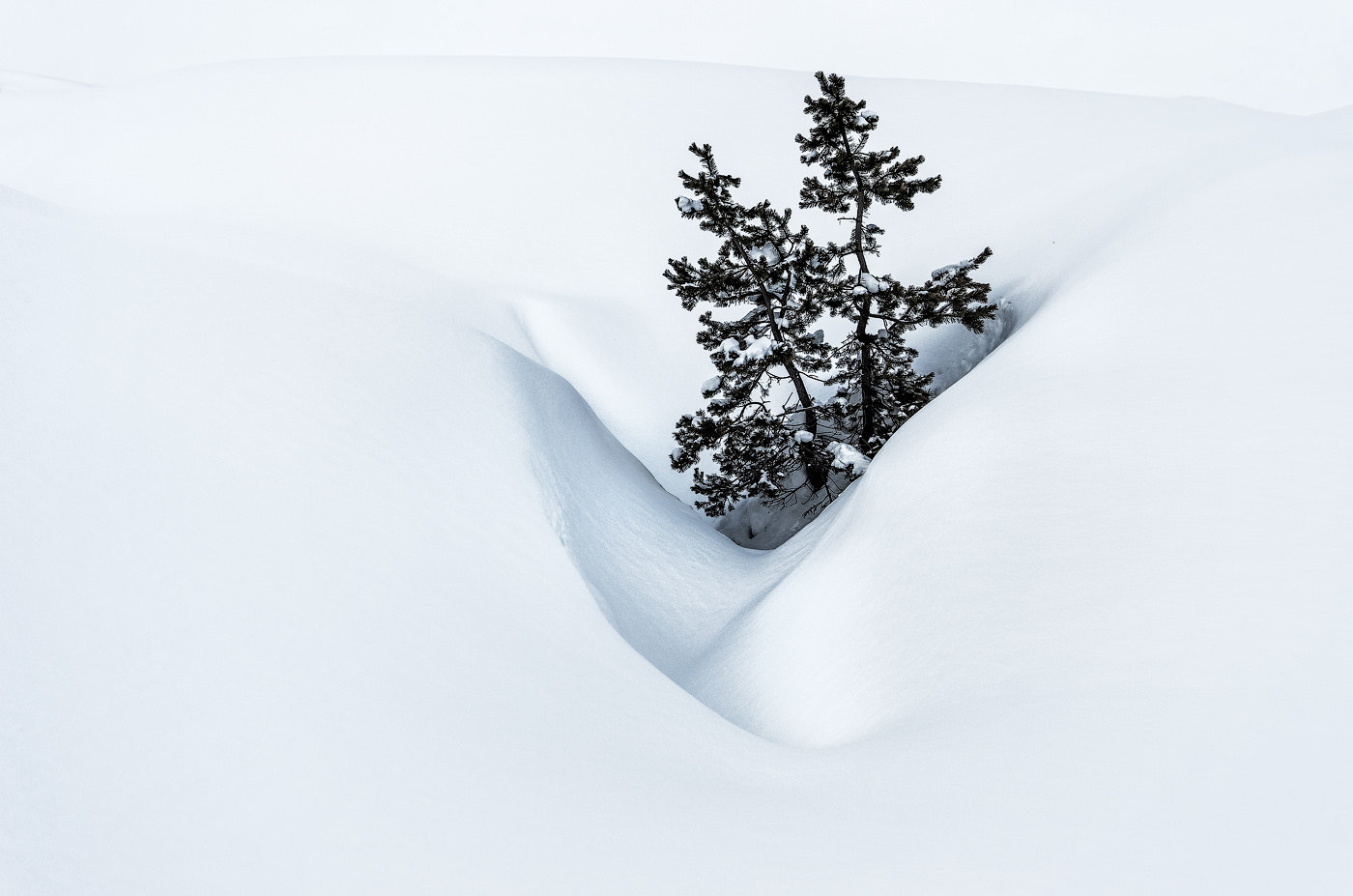 Pentax smc DA 12-24mm F4.0 ED AL (IF) sample photo. Lost in the snow photography