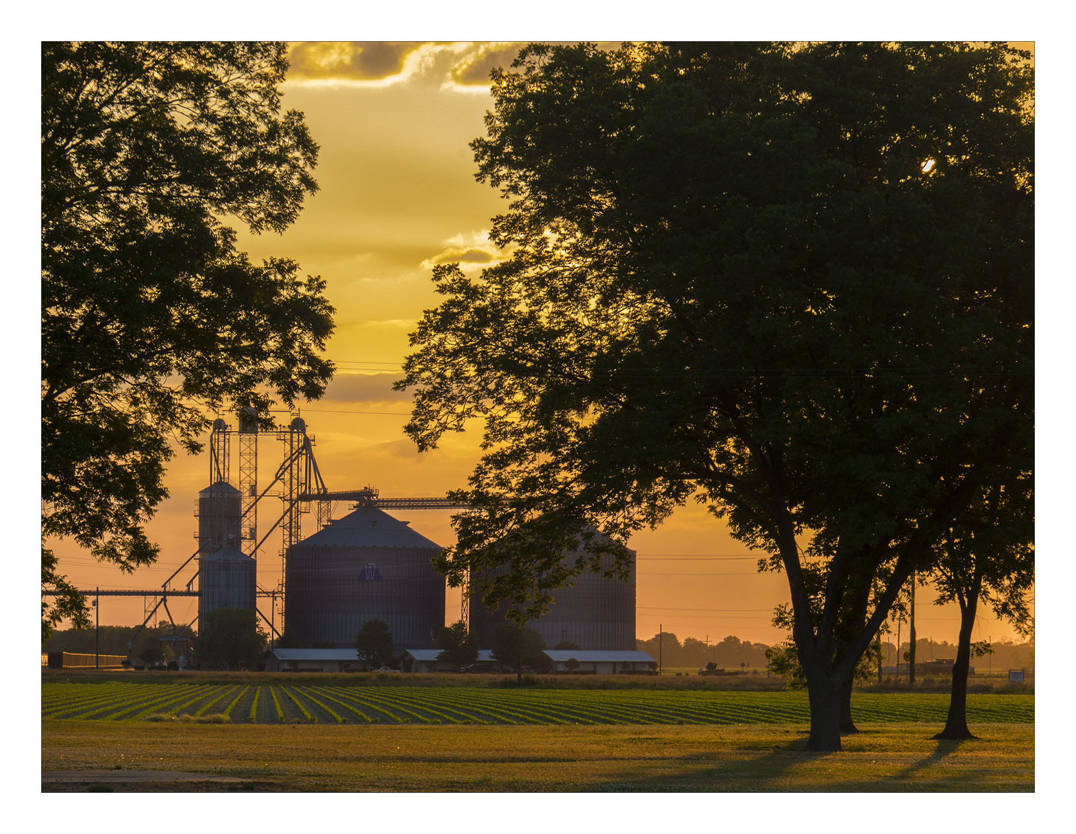 OLYMPUS M.14-150mm F4.0-5.6 II sample photo. Miss delta farming near heathman plantation photography