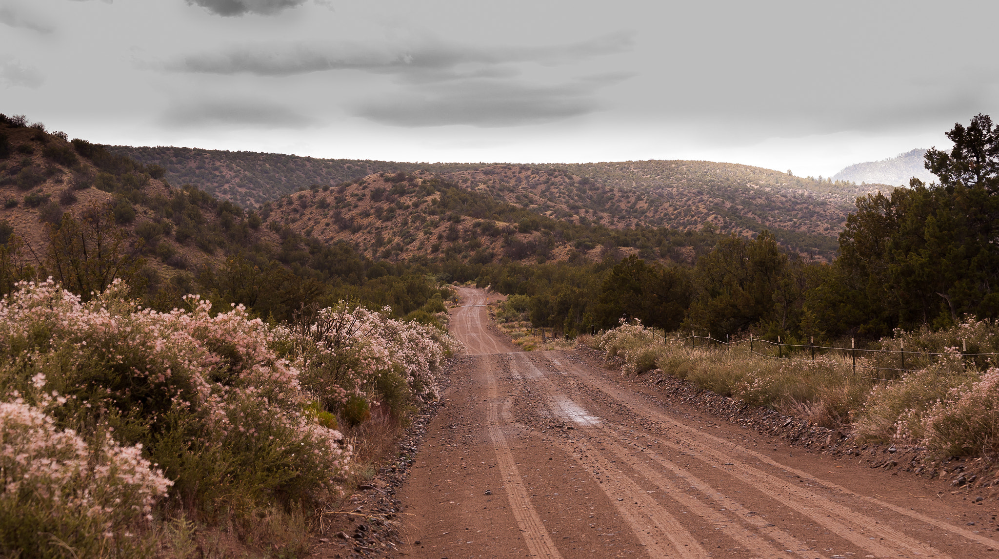 Nikon D80 sample photo. Exploration photography