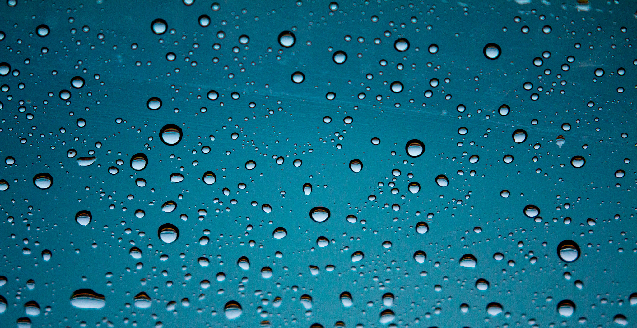 Canon EF 100-400mm F4.5-5.6L IS II USM sample photo. It's raining photography