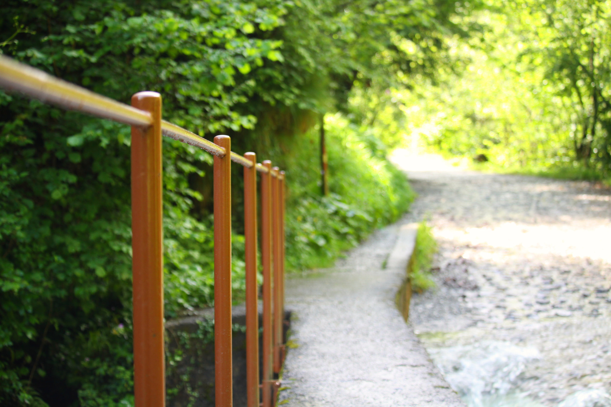 Canon EF-S 55-250mm F4-5.6 IS STM sample photo. #canon#50d photography