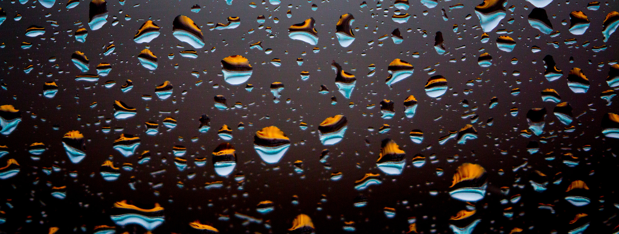 Canon EF 100-400mm F4.5-5.6L IS II USM sample photo. Worlds in raindrops photography