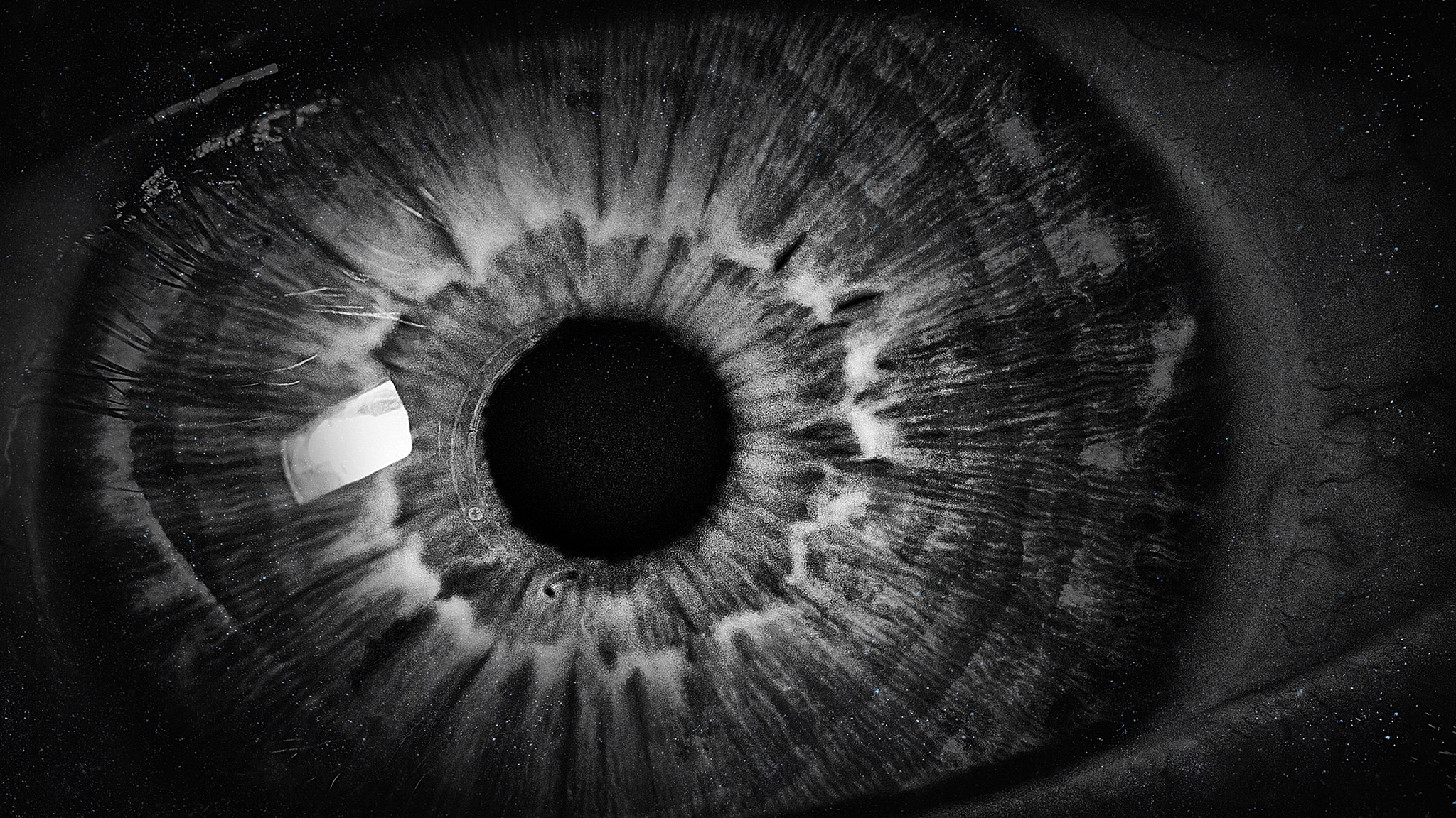 vi (Perception)