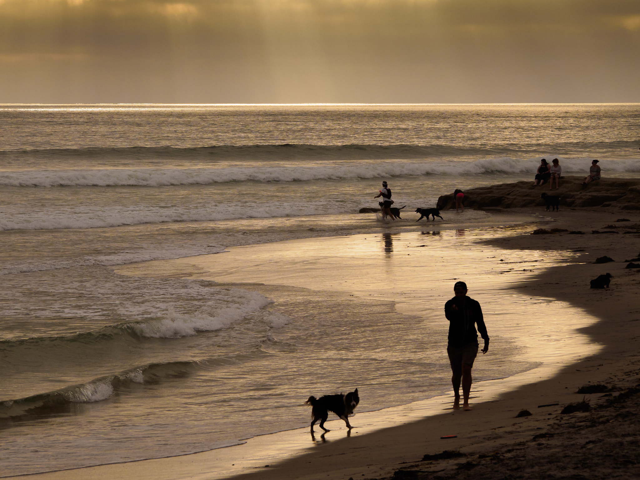 Olympus PEN E-P3 sample photo. Dog beach evening photography