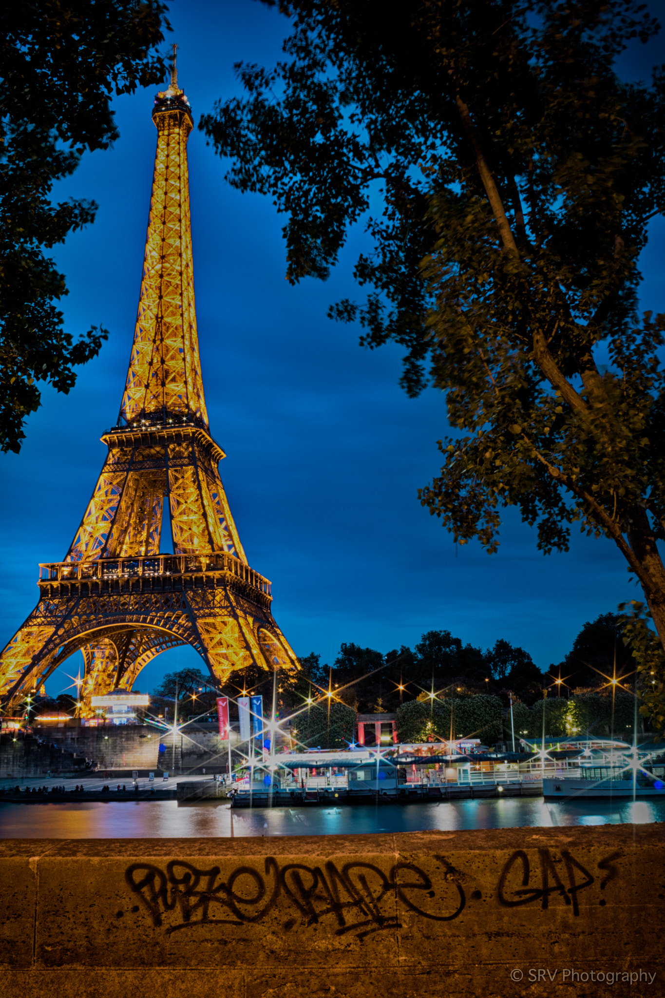 Canon EOS 750D (EOS Rebel T6i / EOS Kiss X8i) sample photo. Eiffel in trees photography