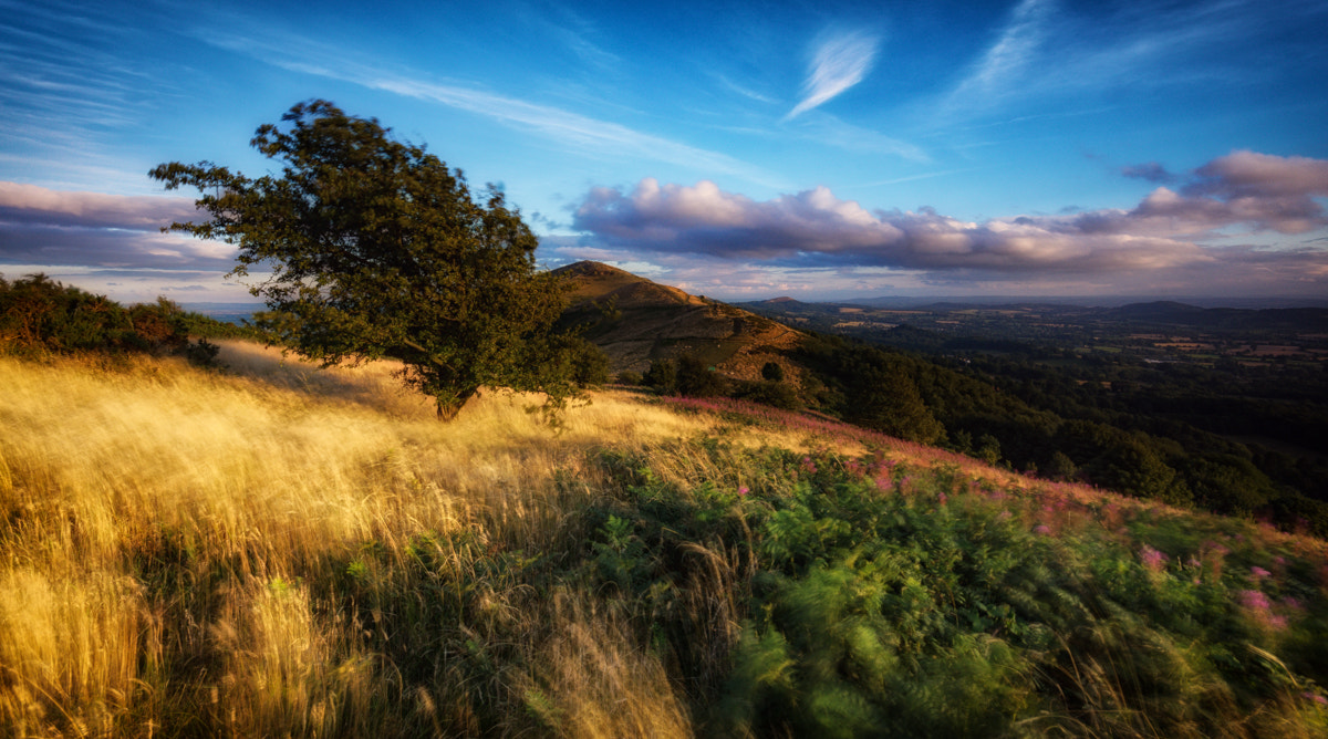 Sigma AF 10-20mm F4-5.6 EX DC sample photo. Malvern hills photography