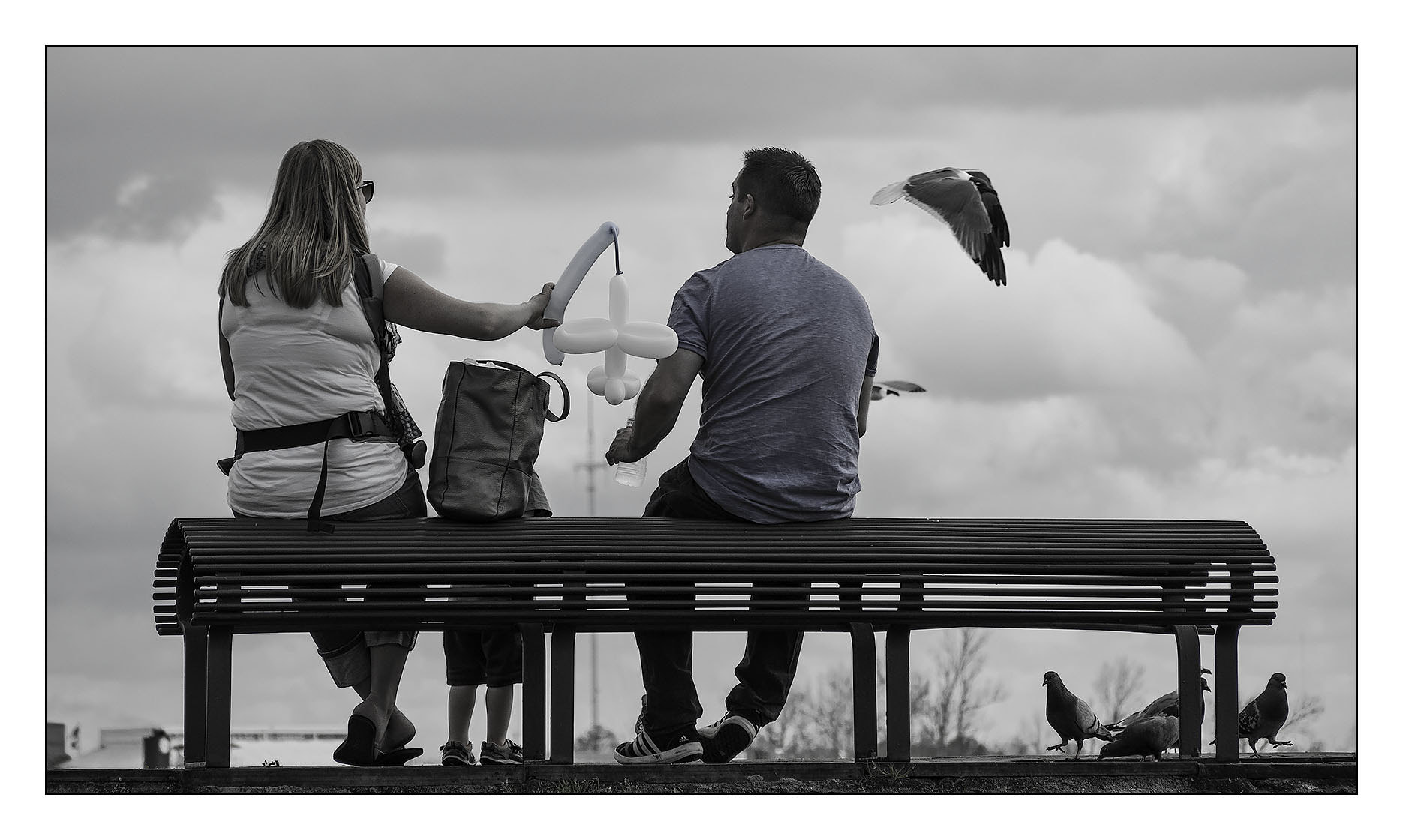 Panasonic Lumix G Vario 45-200mm F4-5.6 OIS sample photo. "just a lot going on"  &  dancing pigeons photography