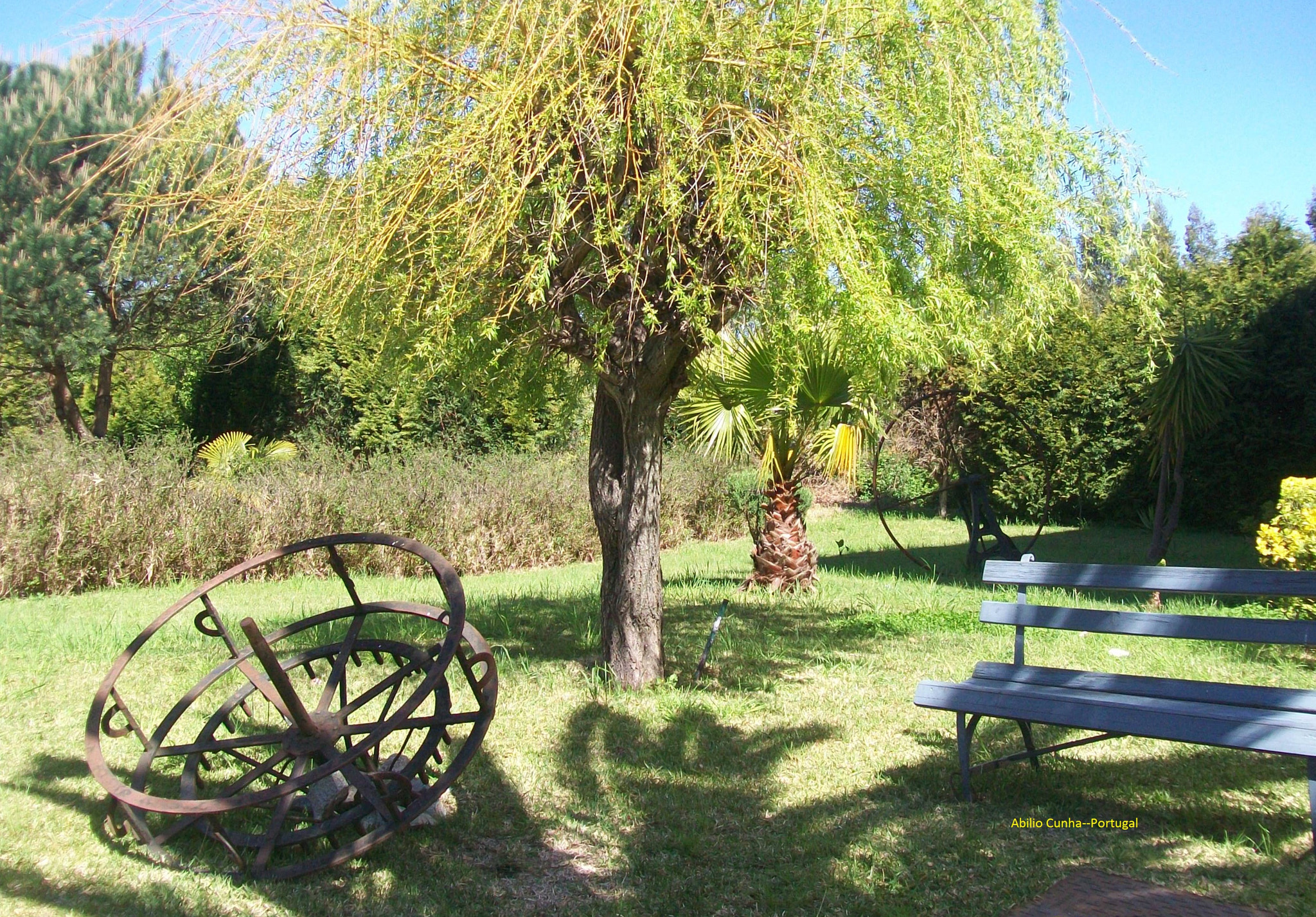 Kodak EasyShare C913 sample photo. O jardim publico douro litoral portugal photography