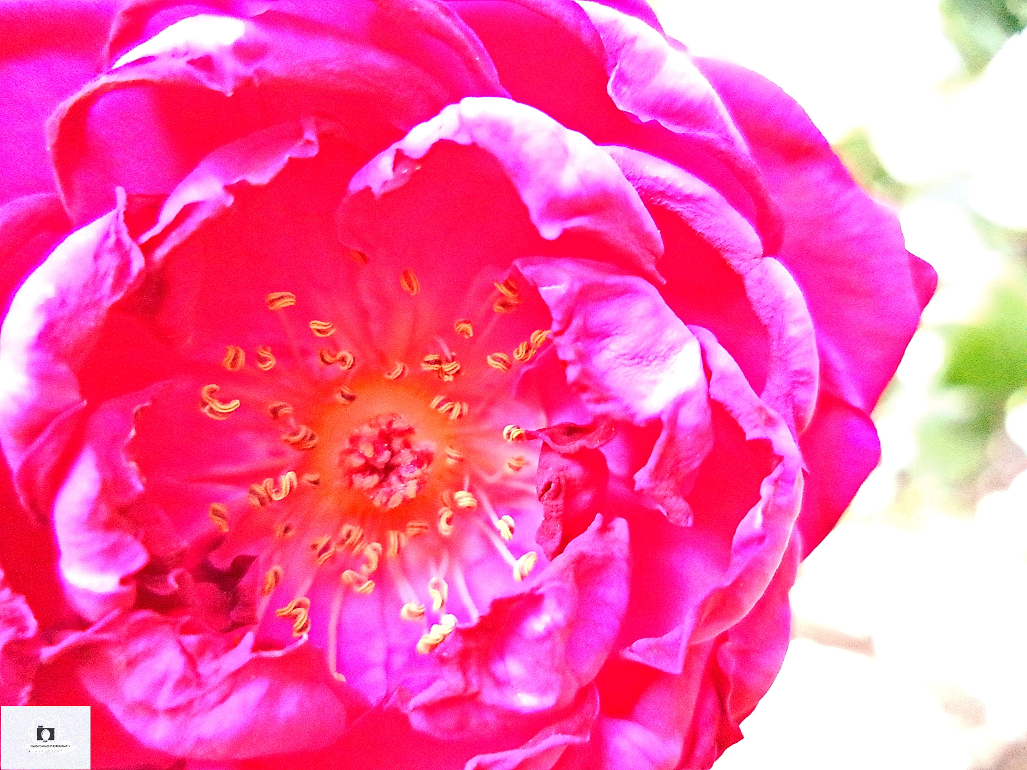 Sony Cyber-shot DSC-W710 sample photo. Substra photography