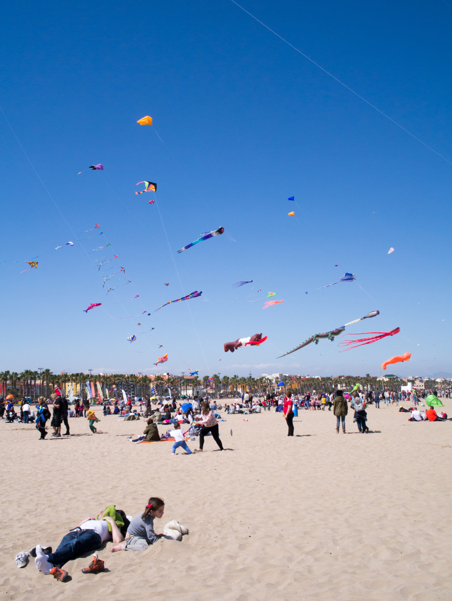 Panasonic Lumix DMC-GX1 + Olympus M.Zuiko Digital 17mm F1.8 sample photo. Kites. photography