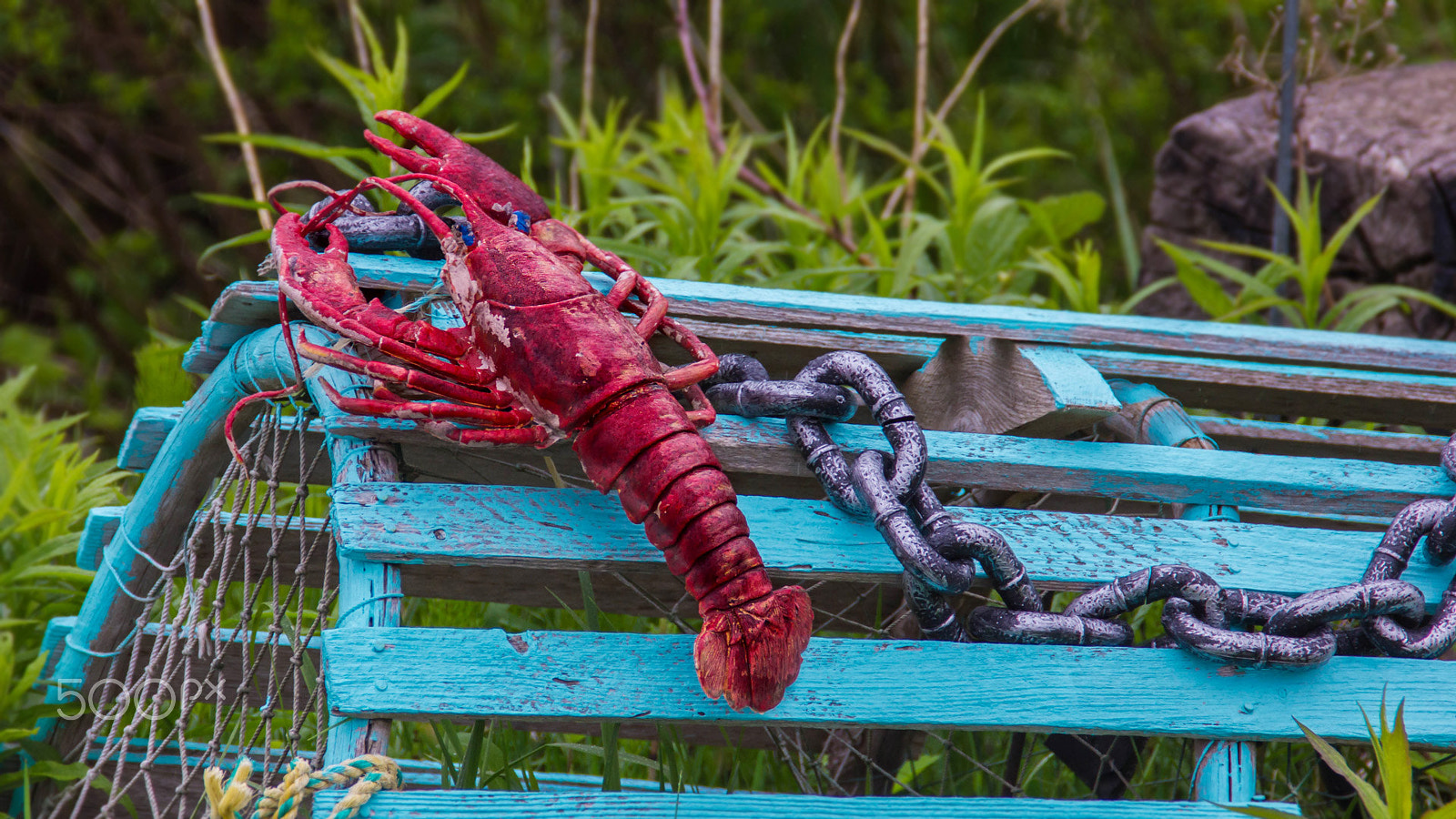 Canon EOS 550D (EOS Rebel T2i / EOS Kiss X4) sample photo. Atlantic lobster photography