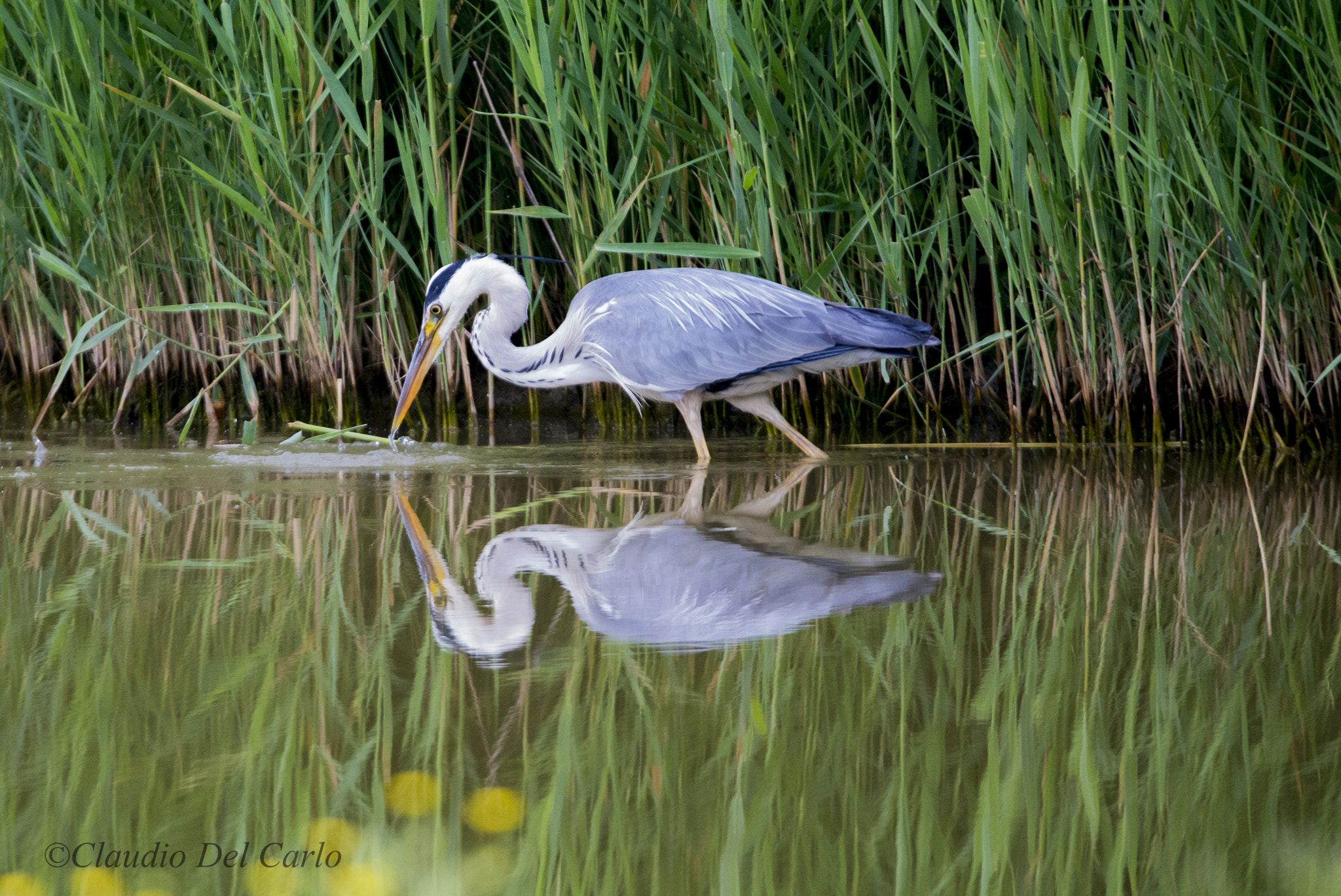 Sigma 150-600mm F5-6.3 DG OS HSM | S sample photo. 040616_2315.jpg photography
