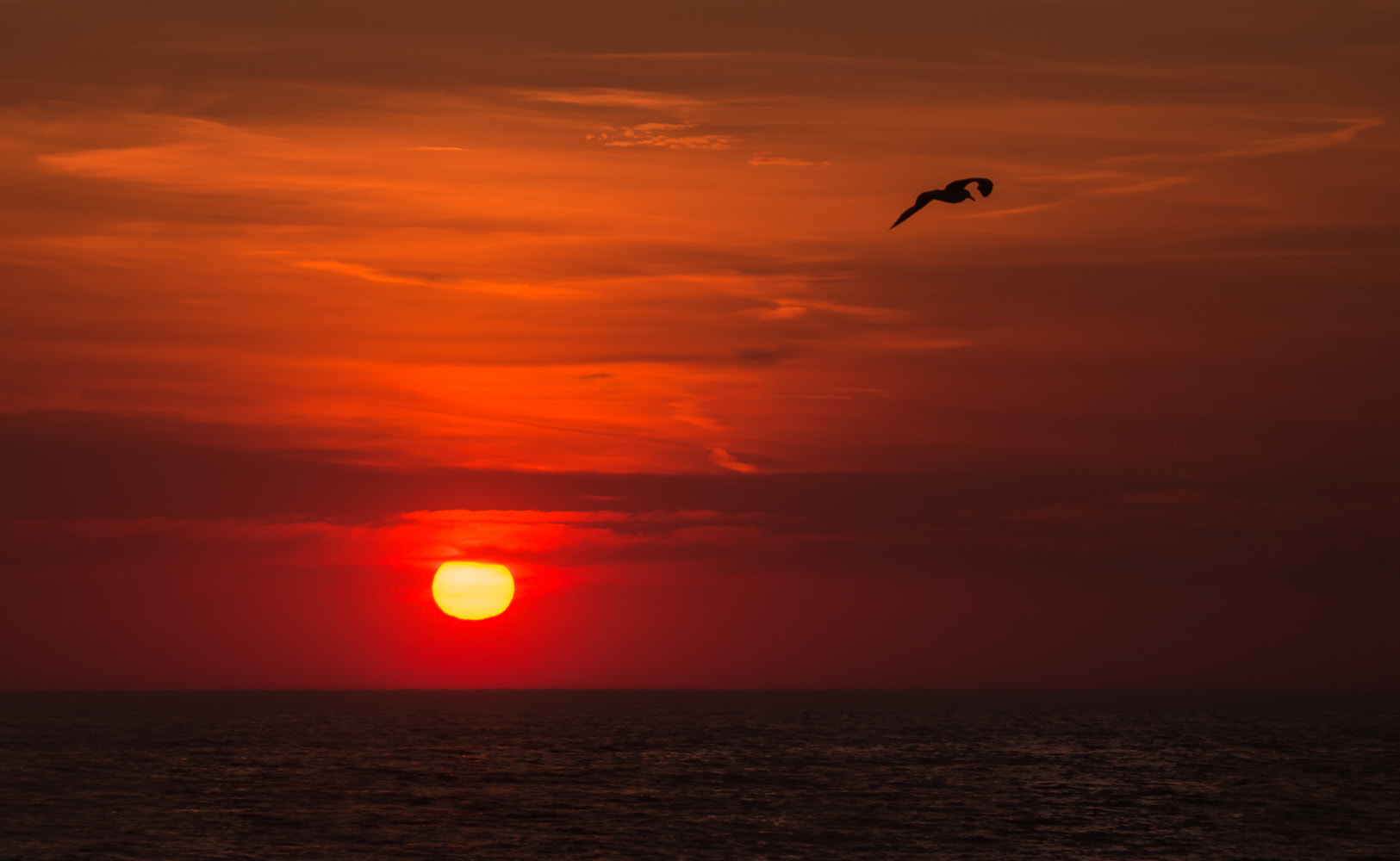 Pentax K-50 + Sigma sample photo. Far to the sun photography