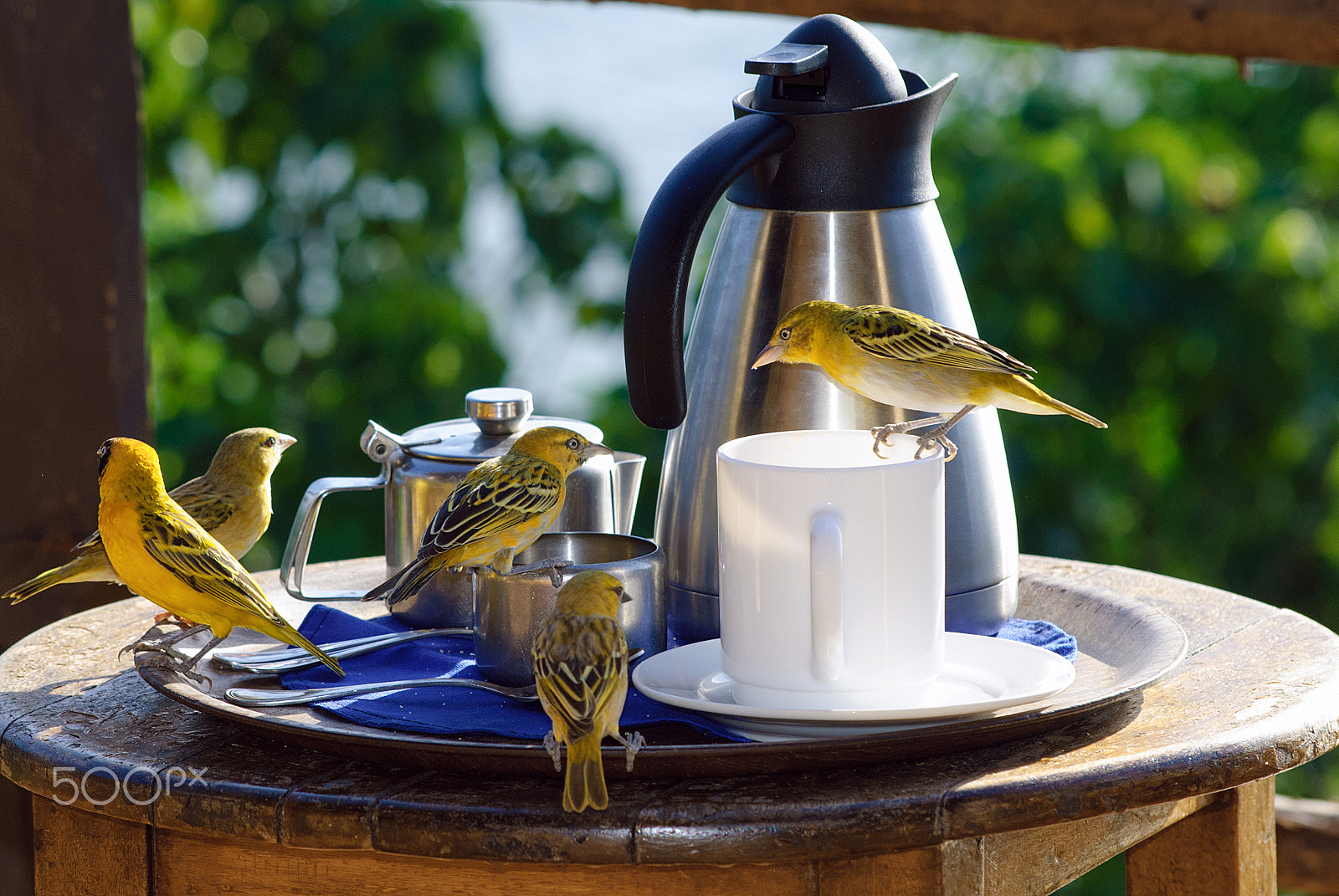 Nikon D80 sample photo. Kenya's great rift valley photography