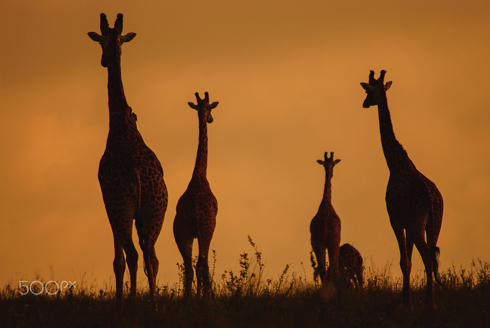 Nikon D80 sample photo. Kenya's great rift valley photography