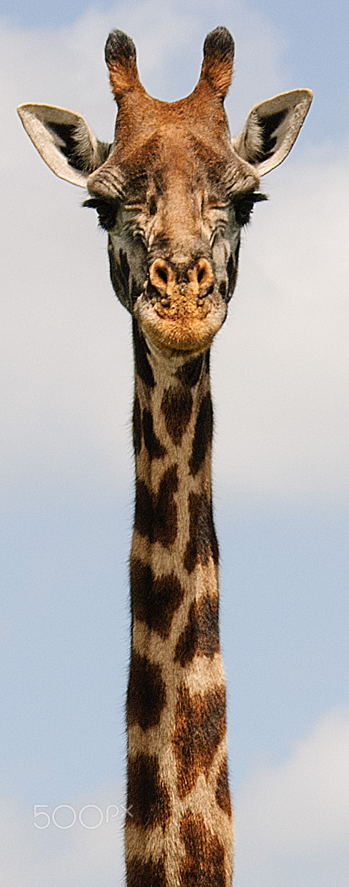 Nikon D80 sample photo. Kenya's great rift valley photography