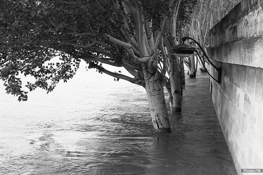 Canon EOS 50D + Canon EF 50mm F1.4 USM sample photo. Quai de seine underwater photography