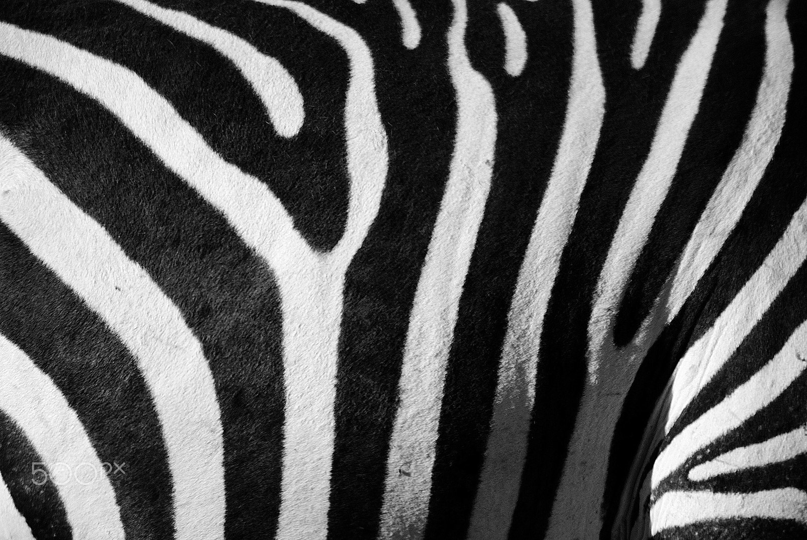 Nikon D80 sample photo. Kenya's great rift valley photography