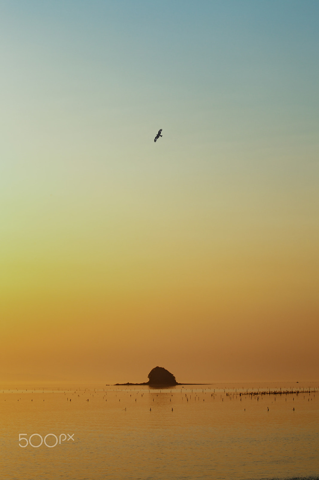 Canon EF 100-400mm F4.5-5.6L IS II USM sample photo. Solitude photography