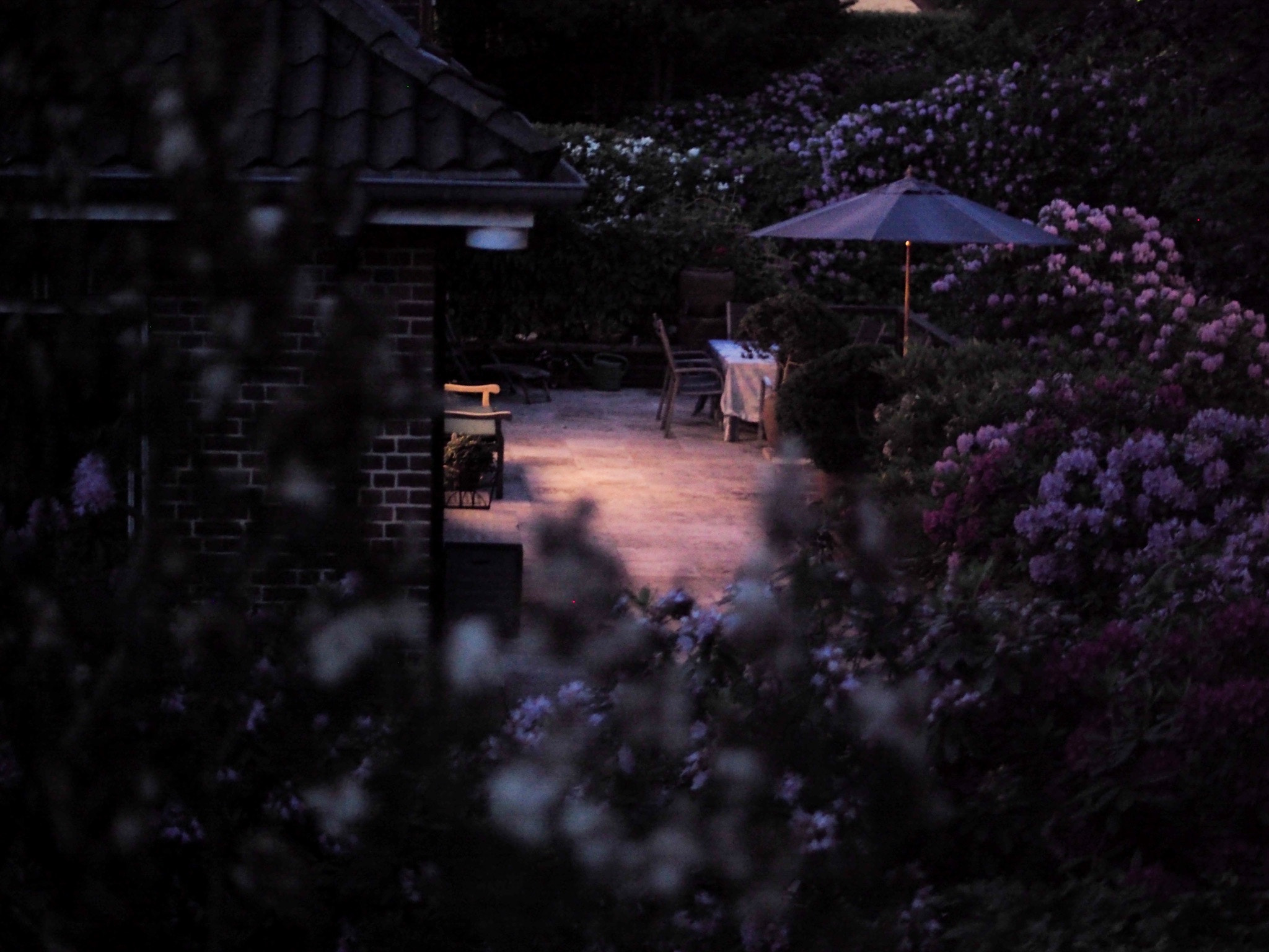 Olympus PEN-F sample photo. Scene 1 photography
