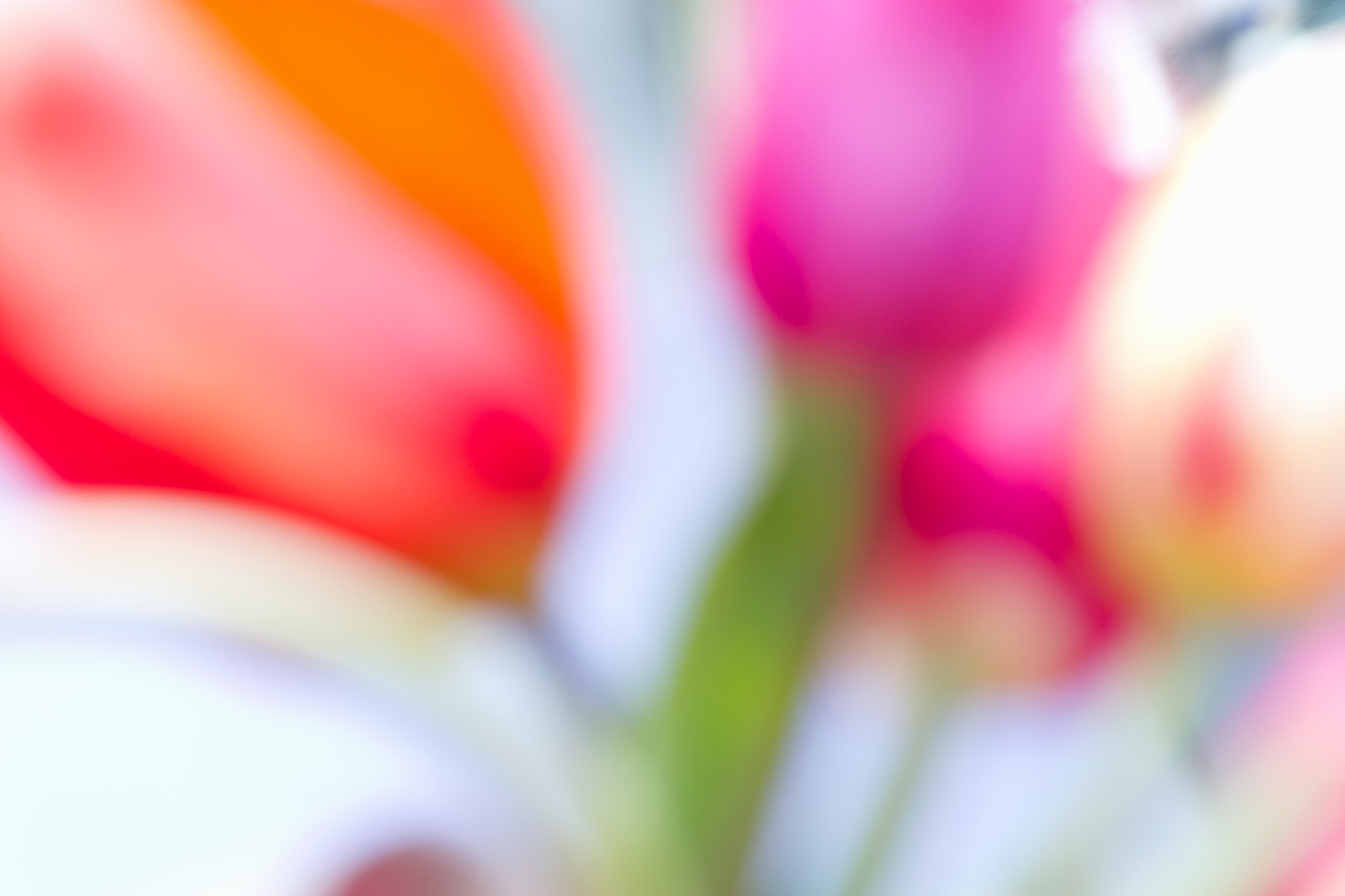 Canon EOS-1D Mark IV sample photo. Faded photography