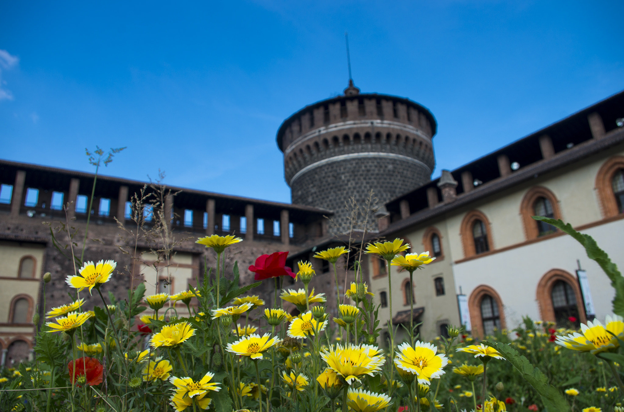 smc PENTAX-DA L 18-55mm F3.5-5.6 sample photo. Castello sforzesco photography