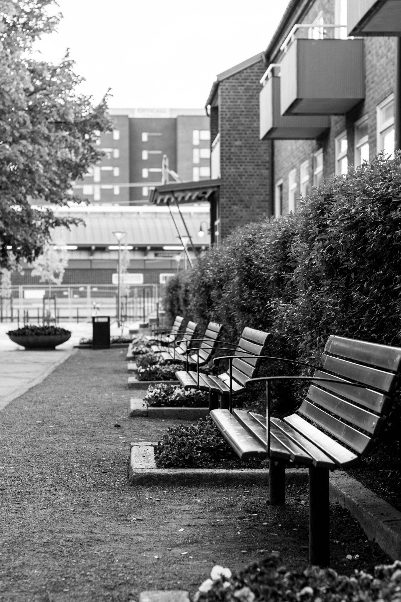 Nikon D5500 + Nikon AF-S Nikkor 50mm F1.4G sample photo. Jakobsberg photography