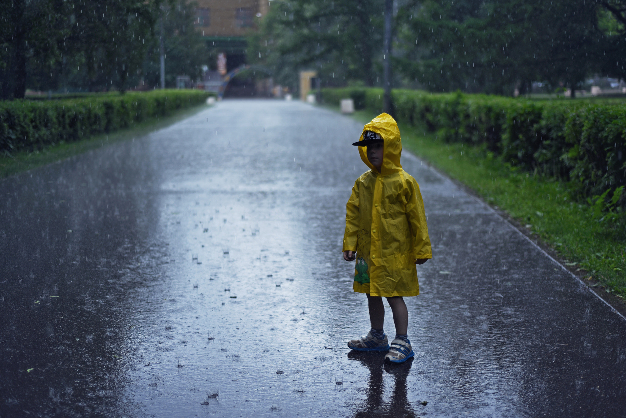 AF Zoom-Nikkor 35-80mm f/4-5.6D N sample photo. Man in the rain photography