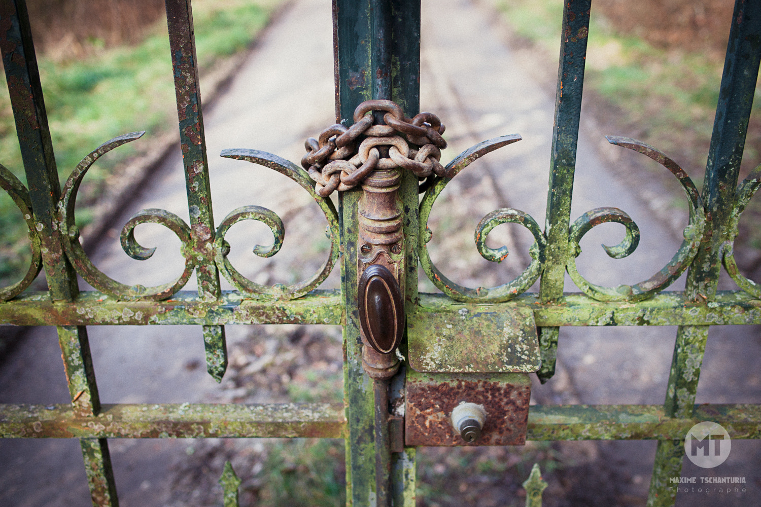 Canon EOS-1Ds Mark II sample photo. Get the key photography