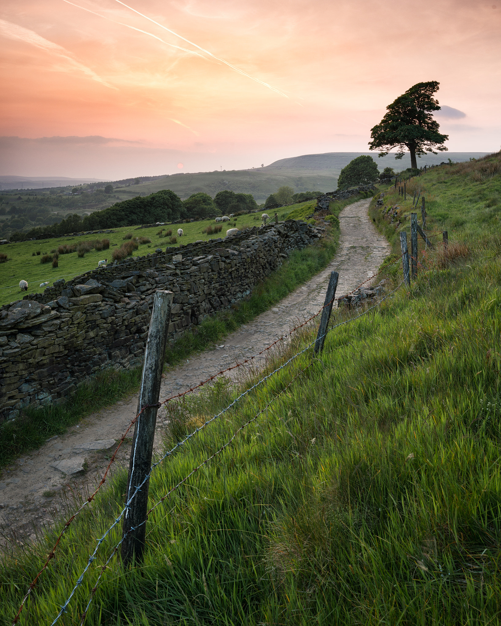 Nikon D800 + Nikon PC-E Nikkor 24mm F3.5D ED Tilt-Shift sample photo. Holcombe sunset photography