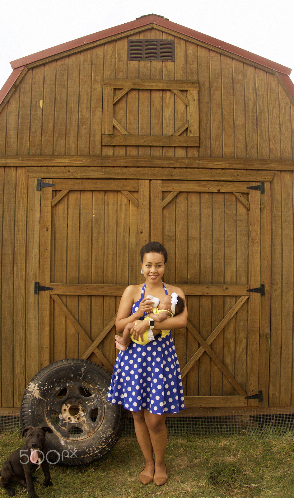 Canon EOS 550D (EOS Rebel T2i / EOS Kiss X4) sample photo. Little farm photography