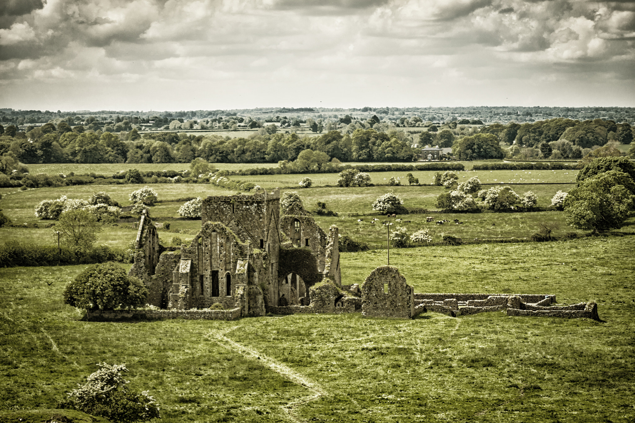 Sigma 70-200mm F2.8 EX DG OS HSM sample photo. Hore abbey photography