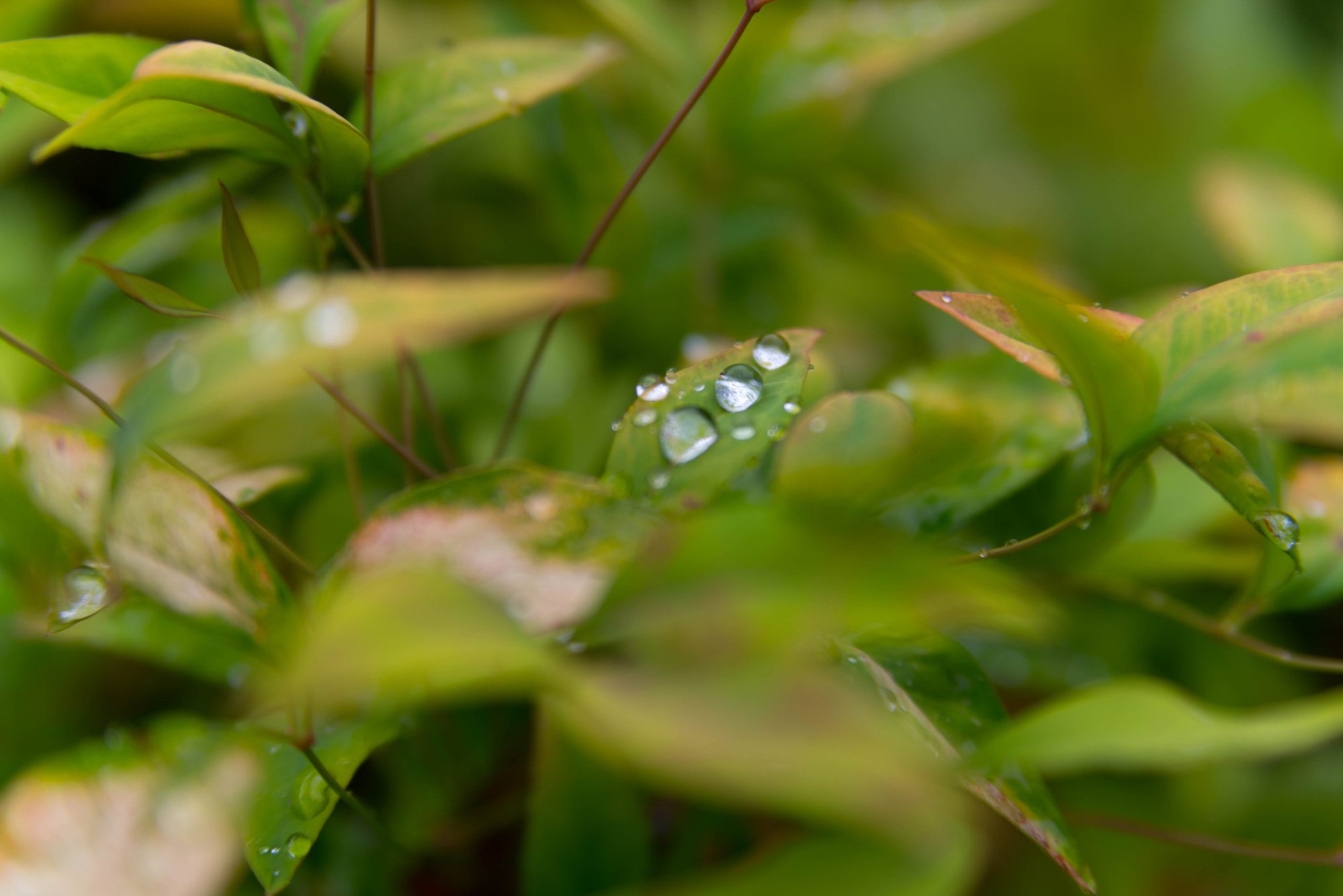 Pentax K-1 sample photo. Pentax k-1 photography