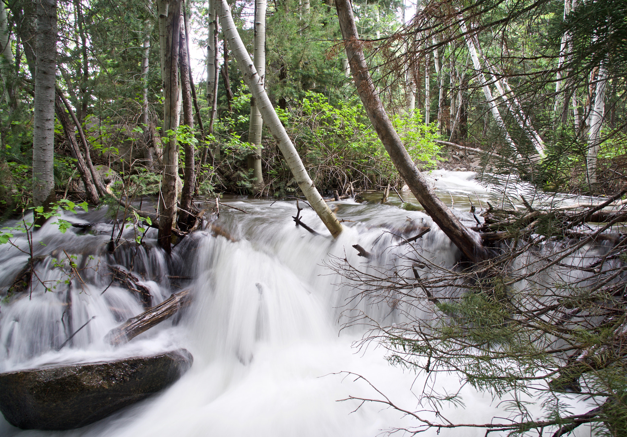 Sony a6000 + Sony Vario-Tessar T* E 16-70mm F4 ZA OSS sample photo. Spring run off, bell's canyon, 2 of 2 photography