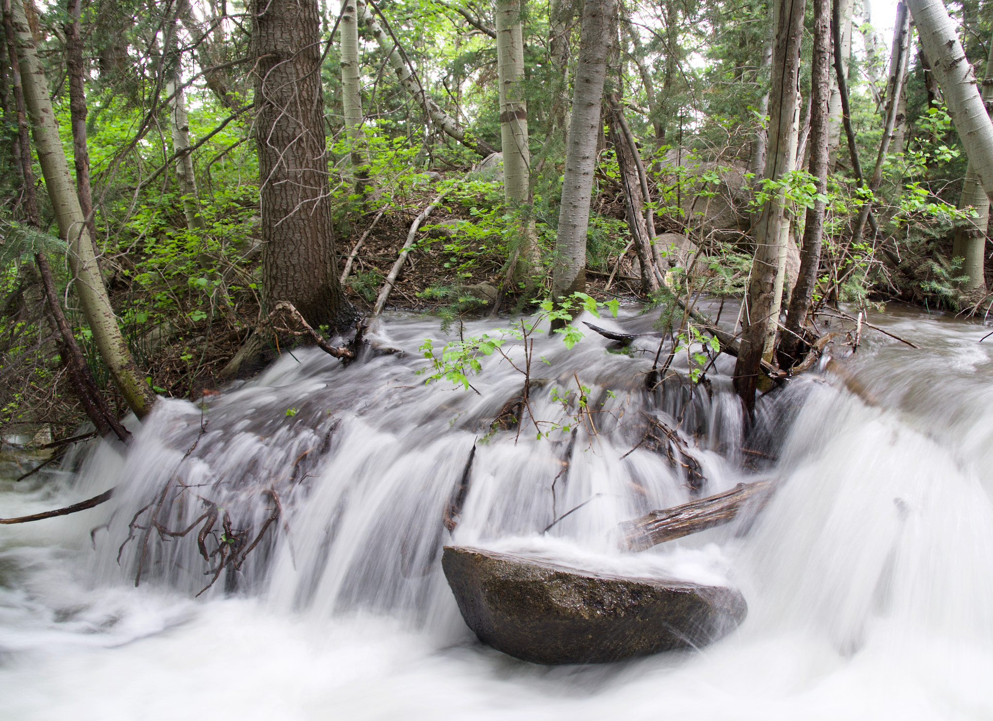 Sony a6000 + Sony Vario-Tessar T* E 16-70mm F4 ZA OSS sample photo. Spring run off, bell's canyon, 1 of 2 photography