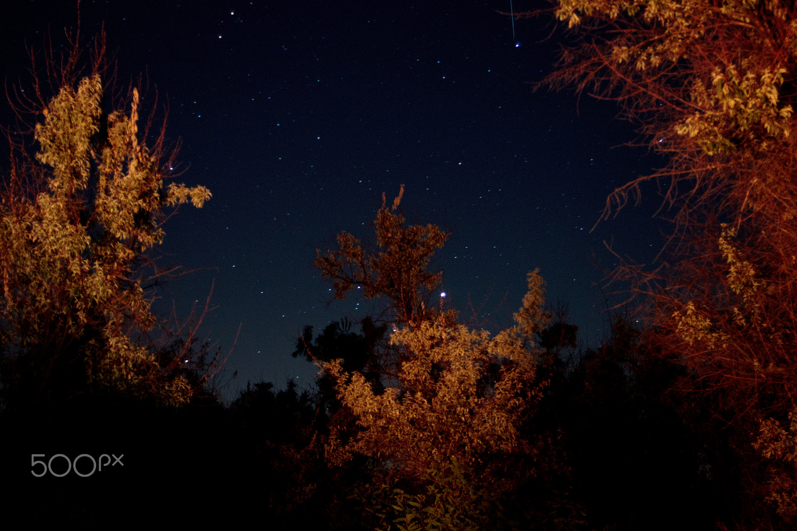 Canon EF 28-70mm f/3.5-4.5 sample photo. Into the night photography