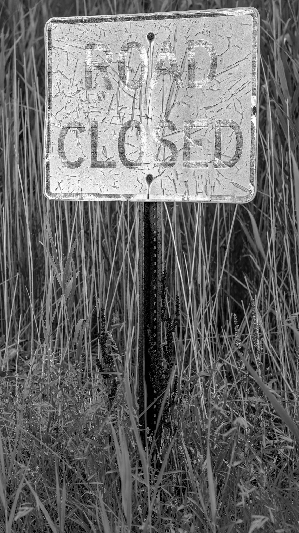 Sony SLT-A55 (SLT-A55V) + Sony 50mm F1.4 sample photo. Road closed photography