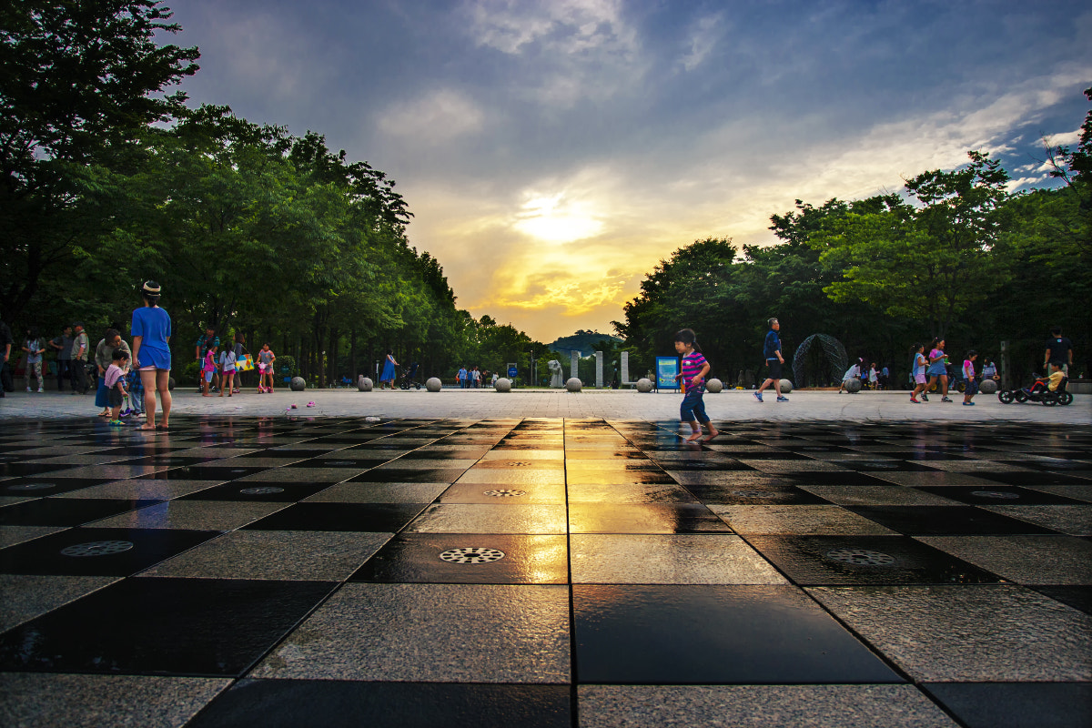 Canon EOS-1D Mark III sample photo. Everyday photography